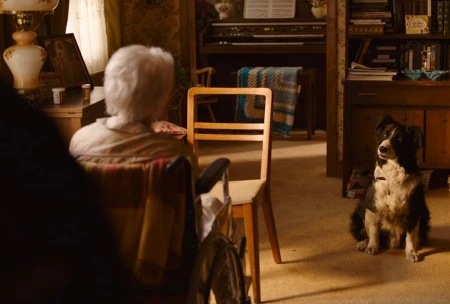 Кадр из сериала Одни из нас